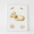 white framed squid print illustration